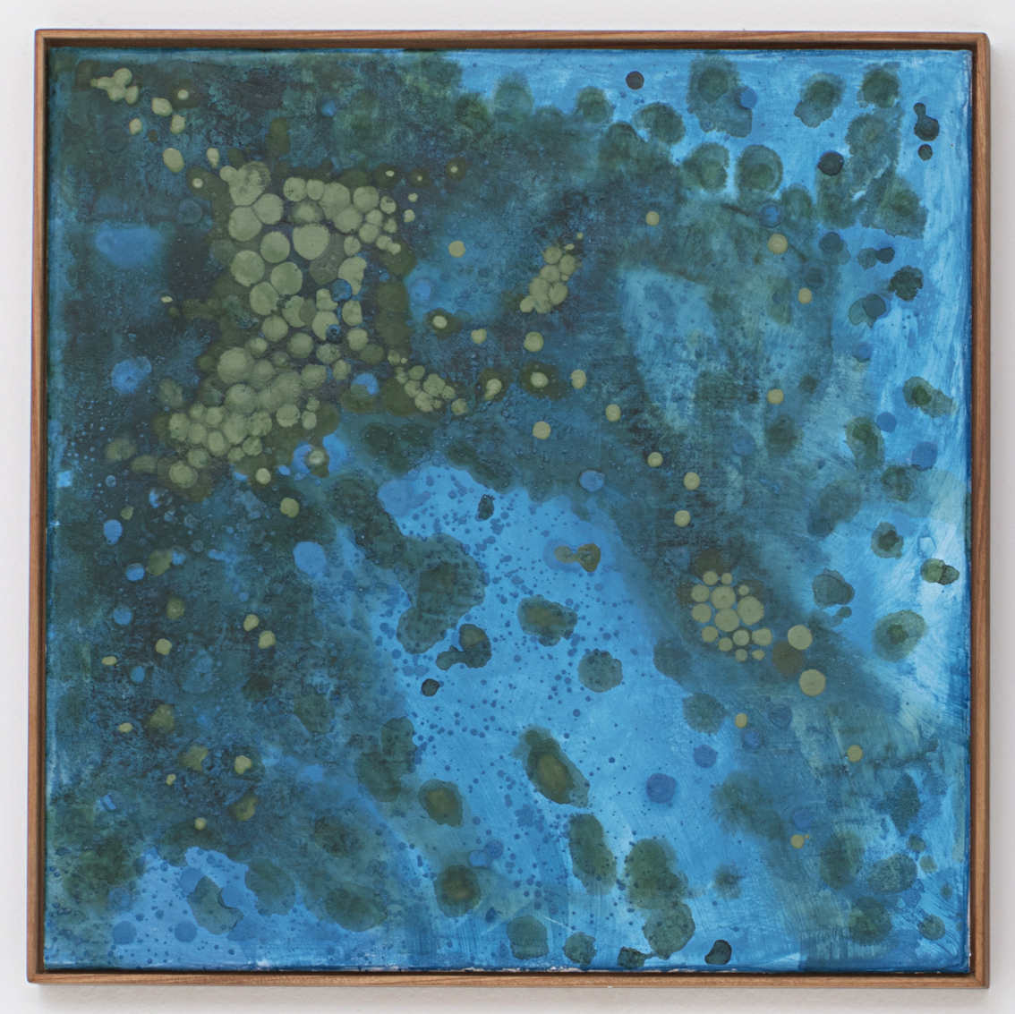 O primeiro verde