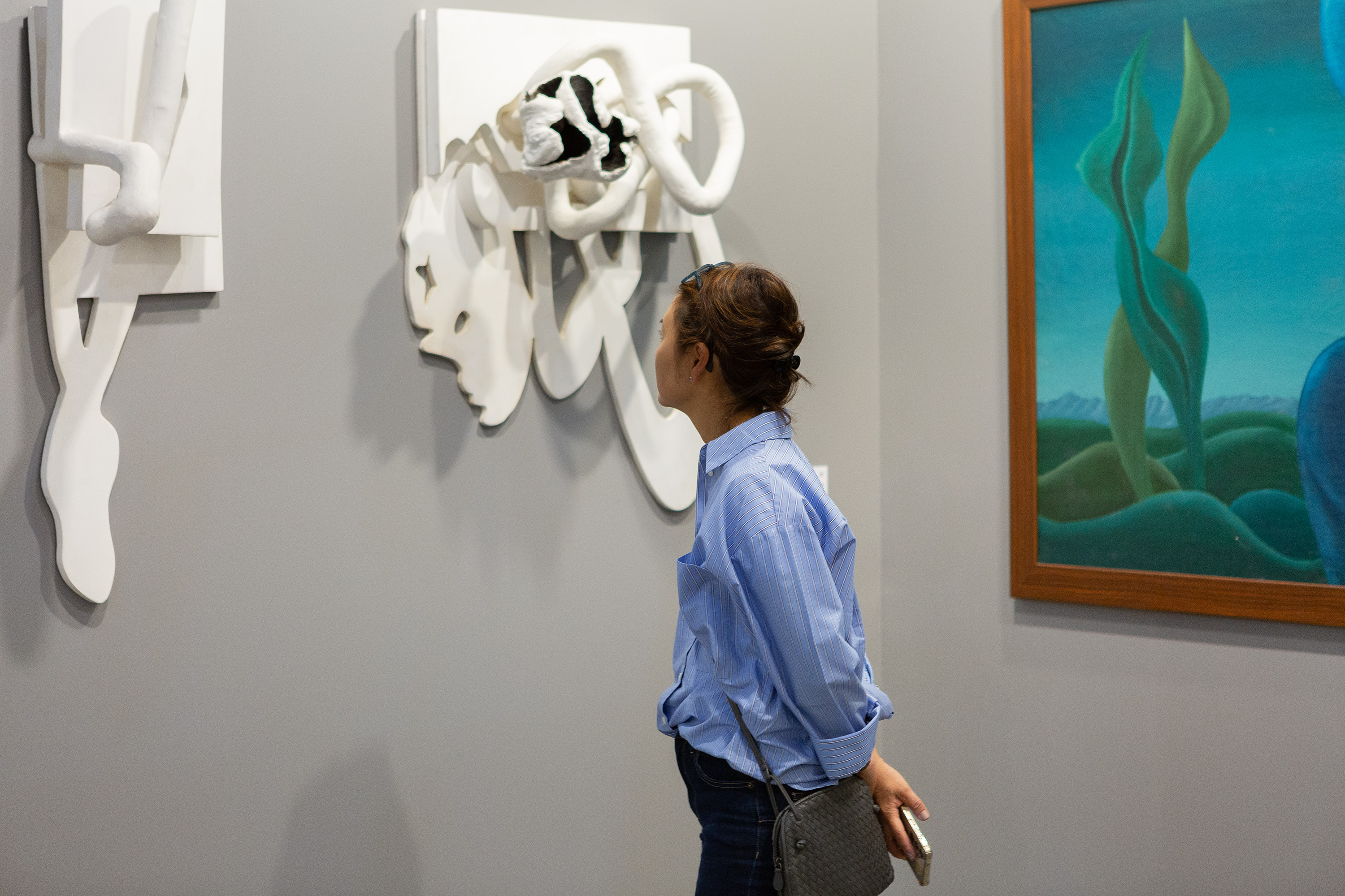 Conheça artistas