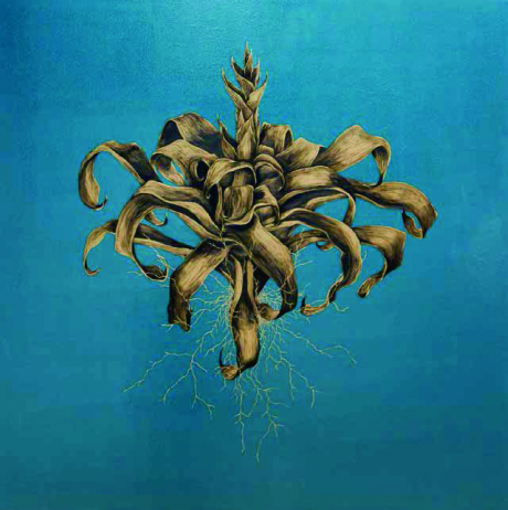 Vítor Mizael – Naturam Impossibile