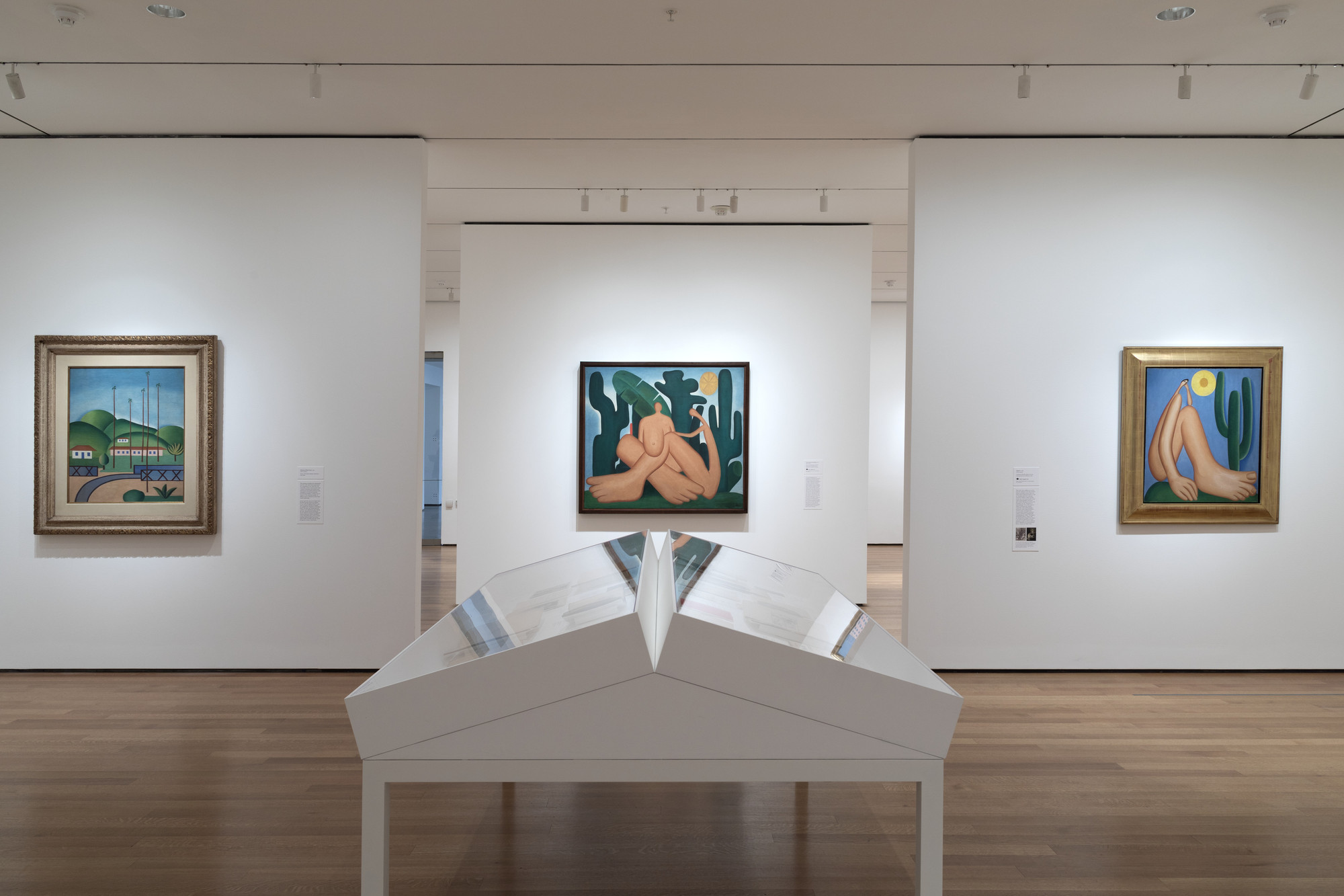 Installation view of "Tarsila do Amaral: Inventing Modern Art in Brazil". Credit: Robert Gerhardt/MoMA.