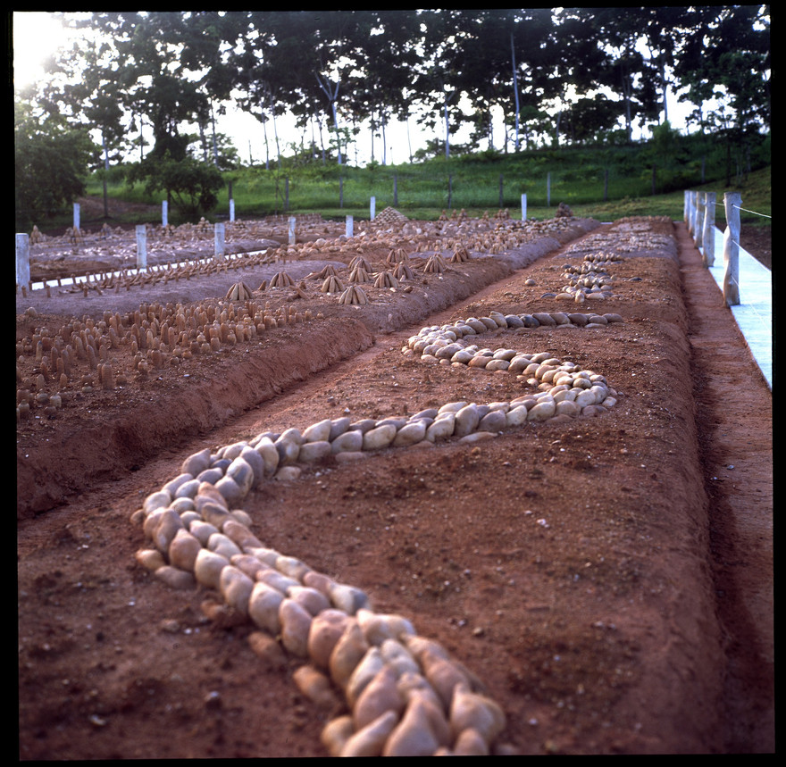 Um campo da fome, (2019-2022), Matheus Rocha Pitta (Foto: Cortesia do artista)