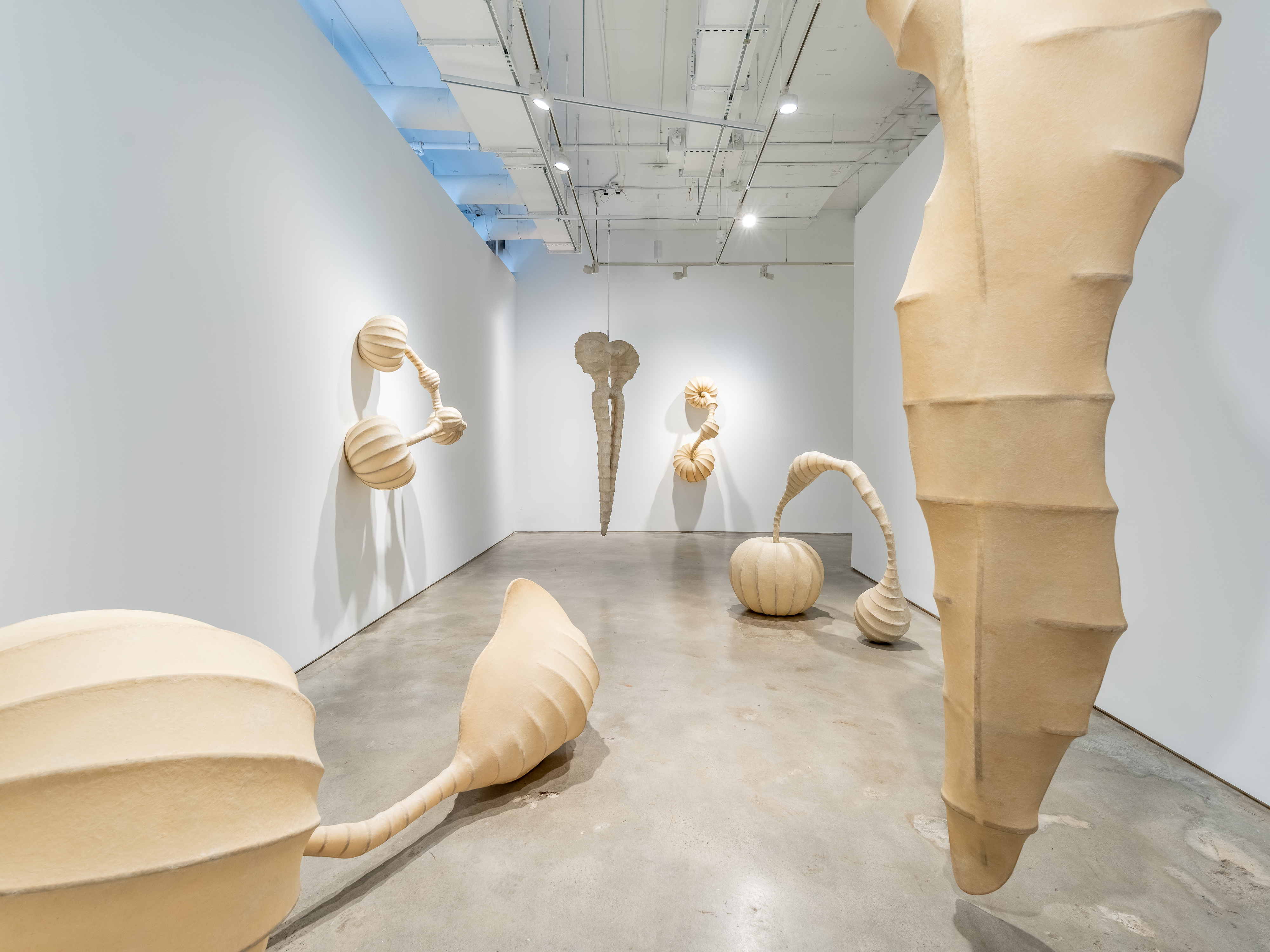 angelo venosa curated by vik muniz