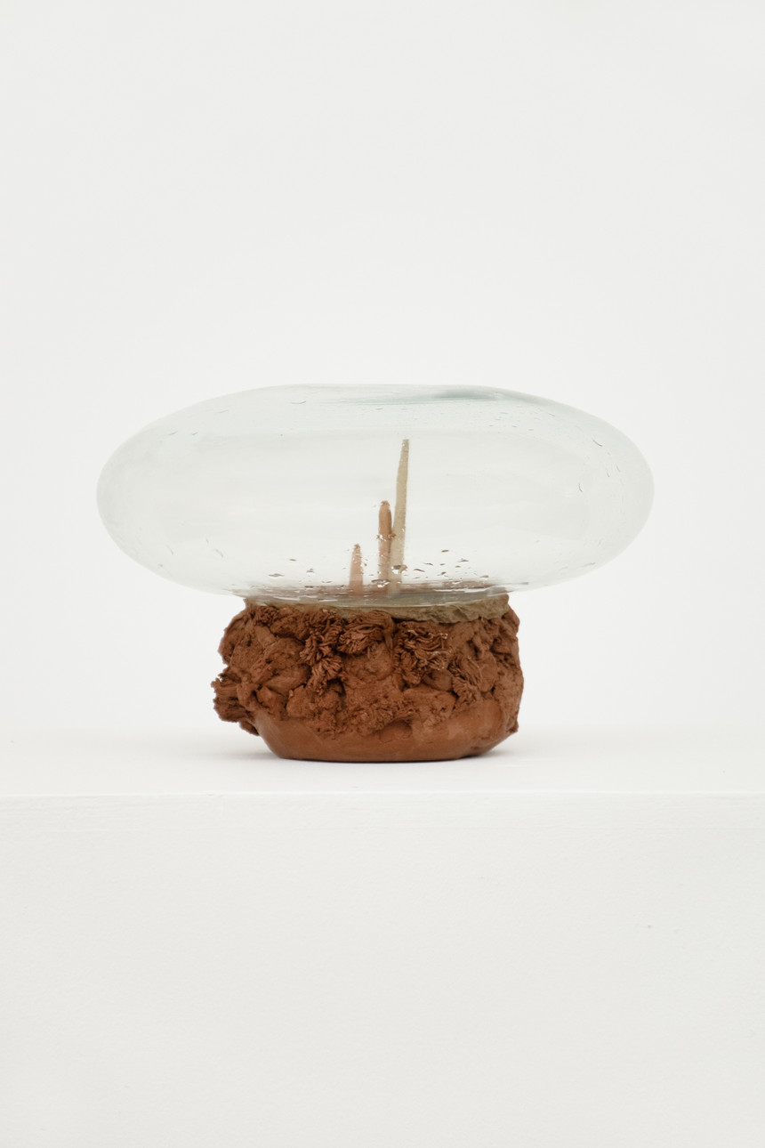 Work by Licida Vidal in the exhibition "Oceano Febril" at Luis Maluf gallery in 2024. Photo: courtesy of the gallery
