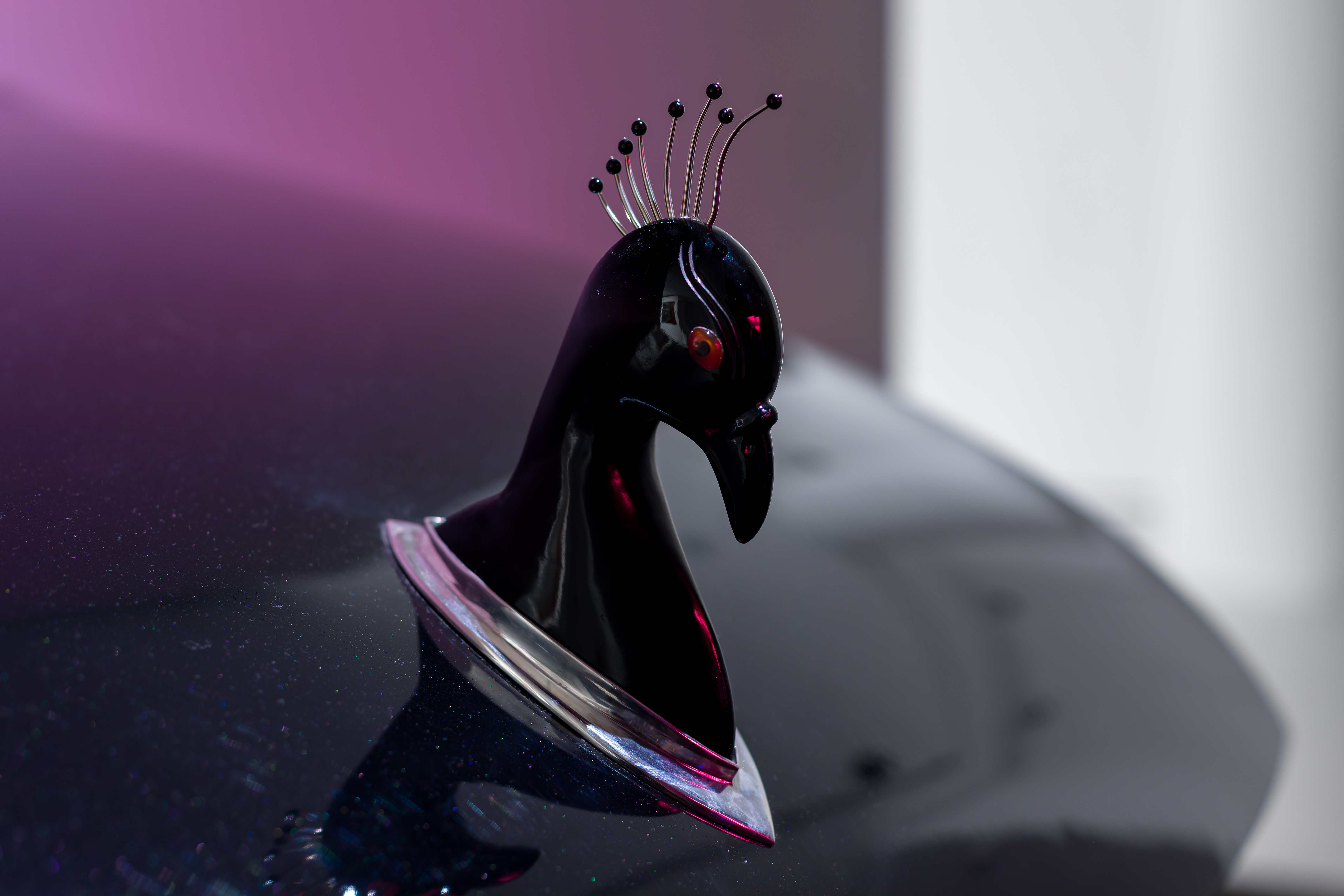 Jonas Van & Juno B., Visage, 2024, funded by Pro Helvetia, artists' collection. Photo: publicity