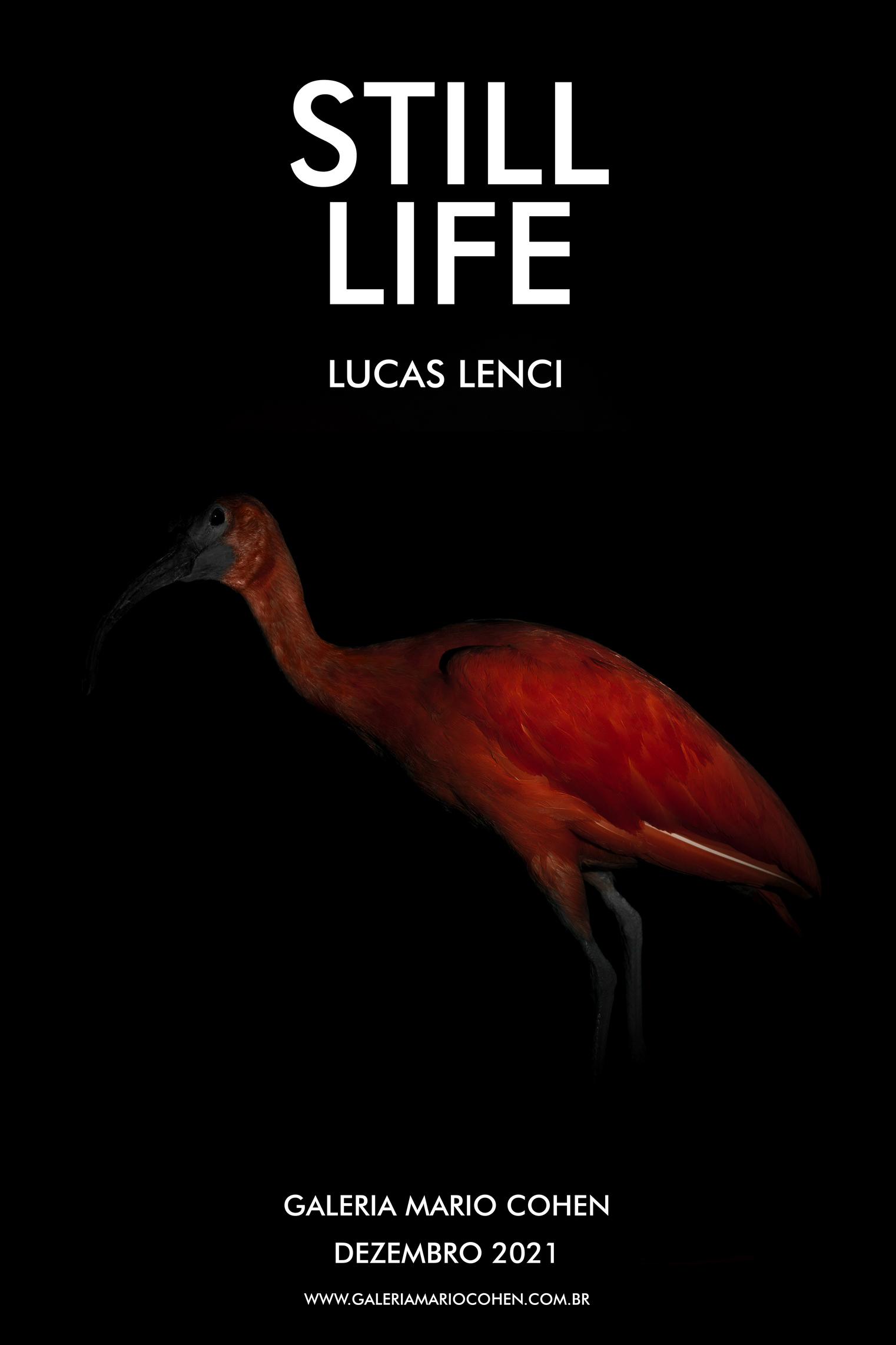 STILL LIFE