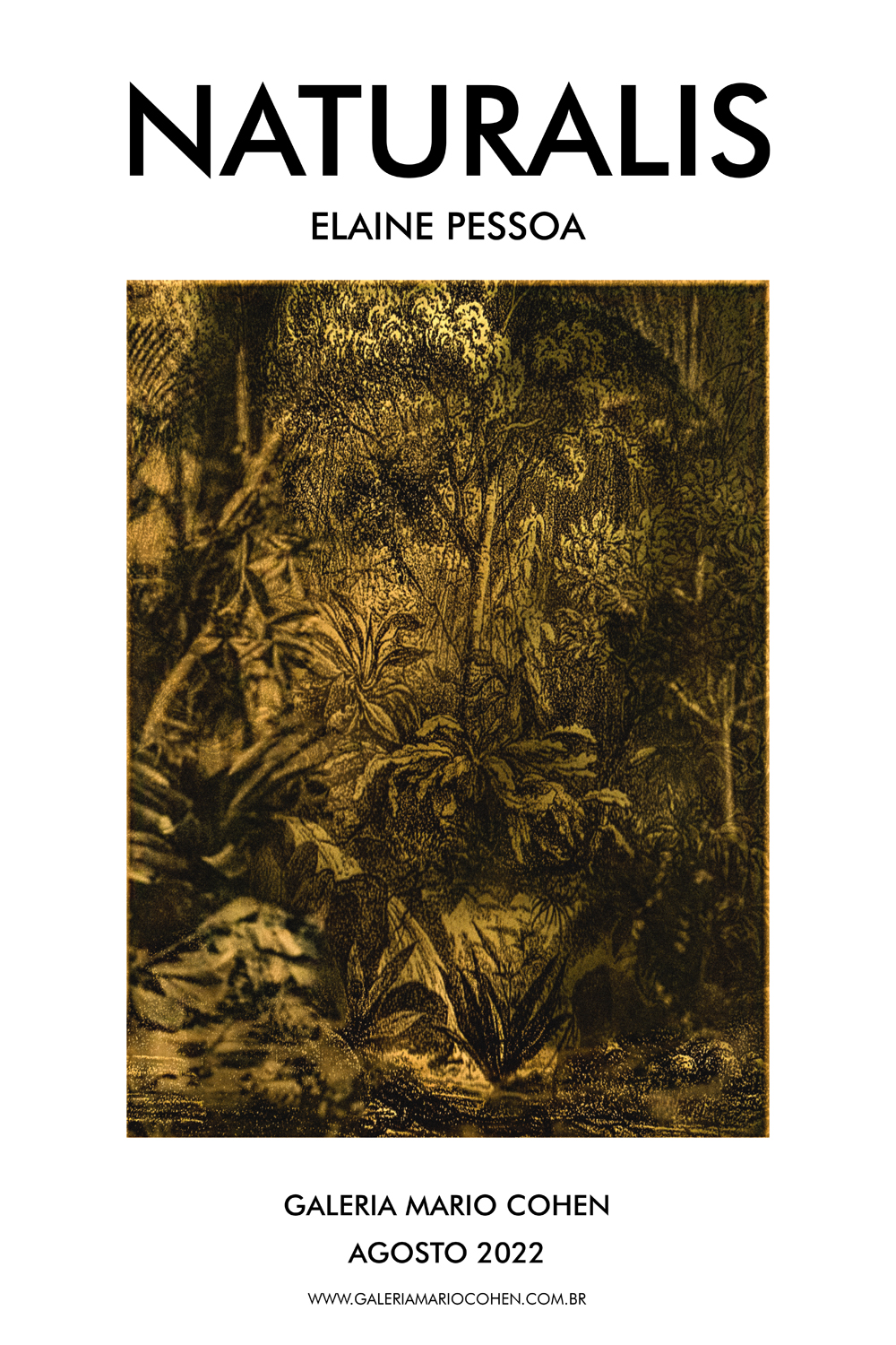 Naturalis - Elaine Pessoa