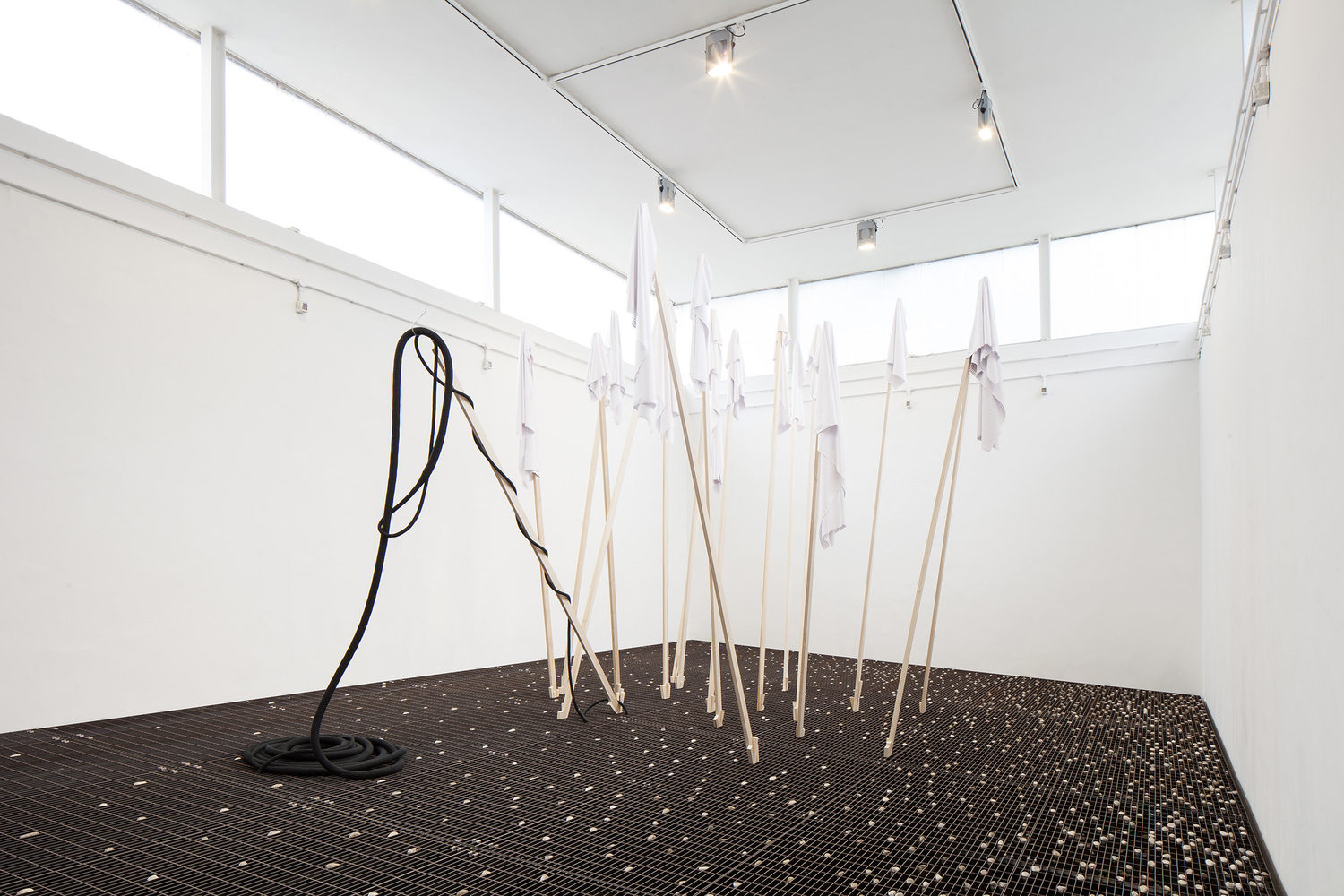 Views of Cinthia Marcelle, "Chão de caça", 2017.