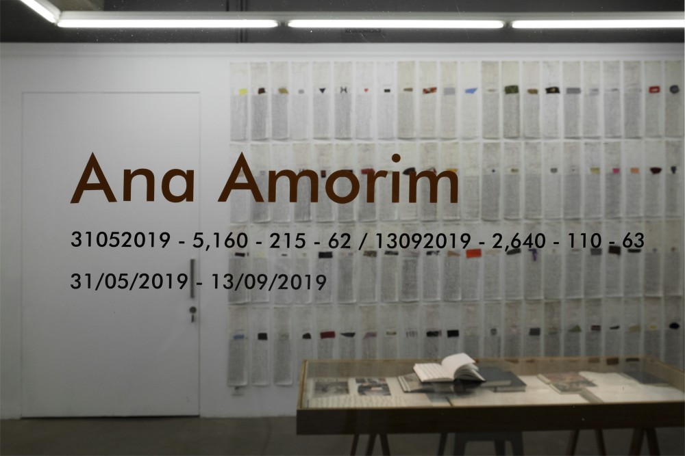 Ana Amorim - 31052019 - 5,160 - 215 - 62 / 13092019 - 2,640 - 110 - 63