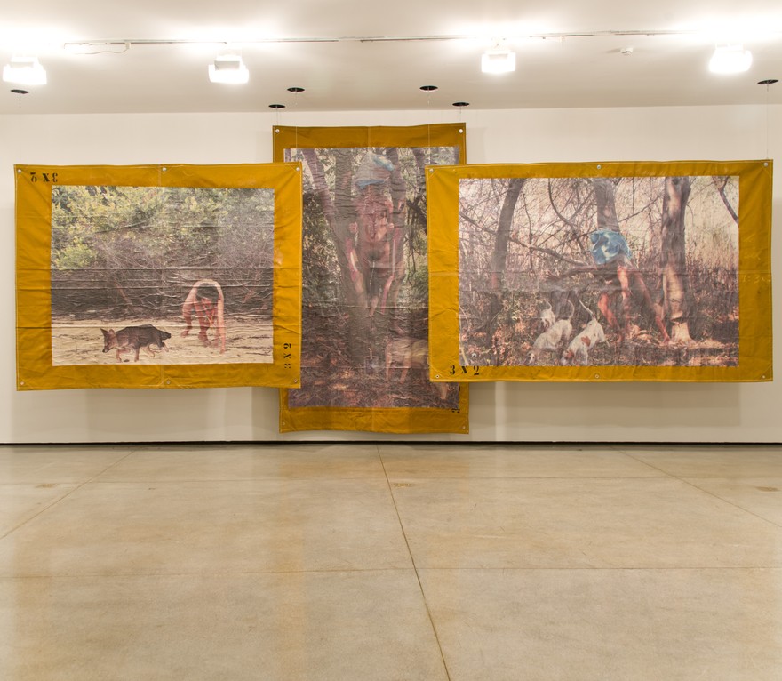 36º Panorama da Arte Brasileira: Sertão