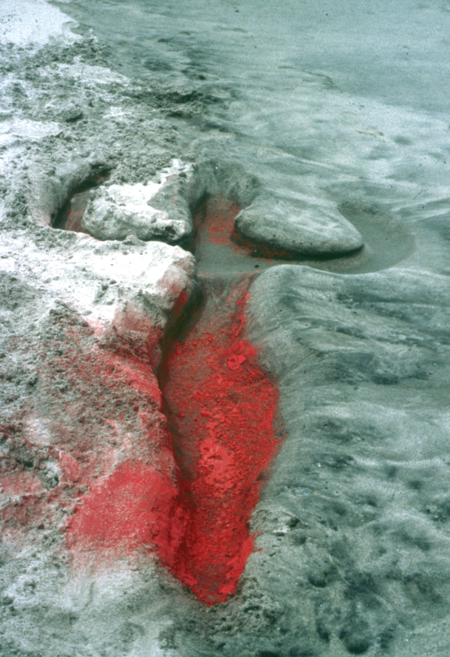 Ana Mendieta, Untitled: Silueta series, 1976. Foto: Reprodução © 2023 The Estate of Ana Mendieta Collection, LLC.