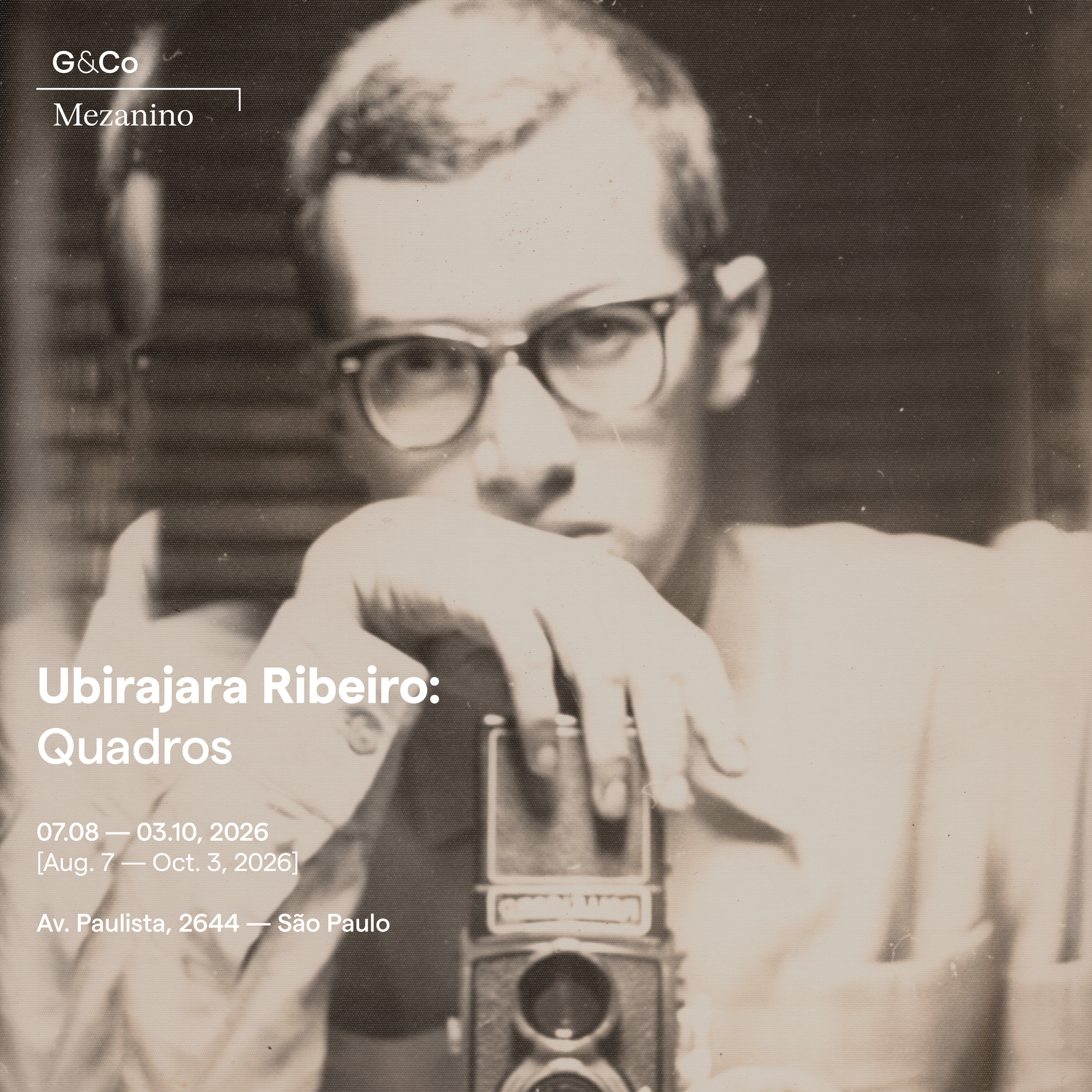 Ubirajara Ribeiro: Quadros