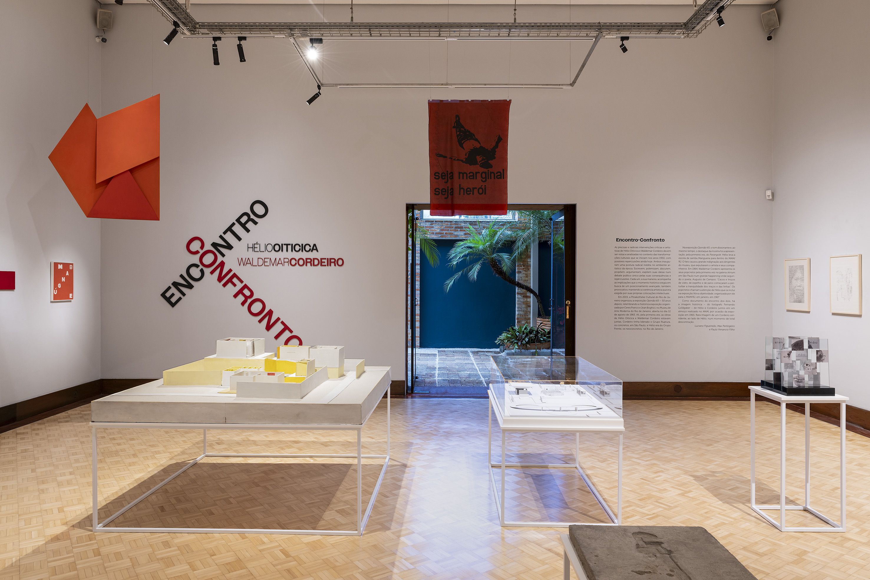 ENCONTRO-CONFRONTO | Hélio Oiticica e Waldemar Cordeiro