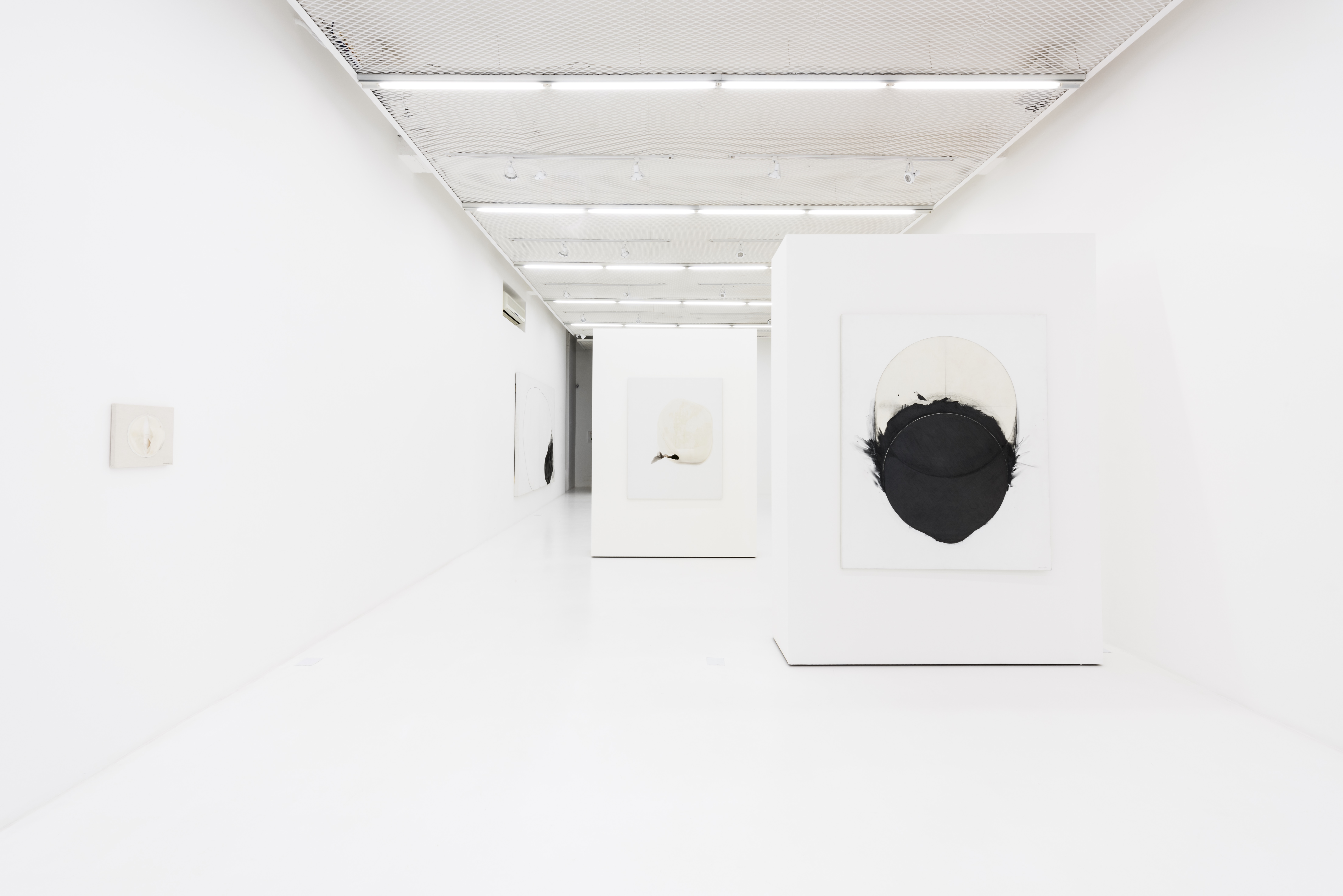 Takesada Matsutani: Selected Works 1972-2017