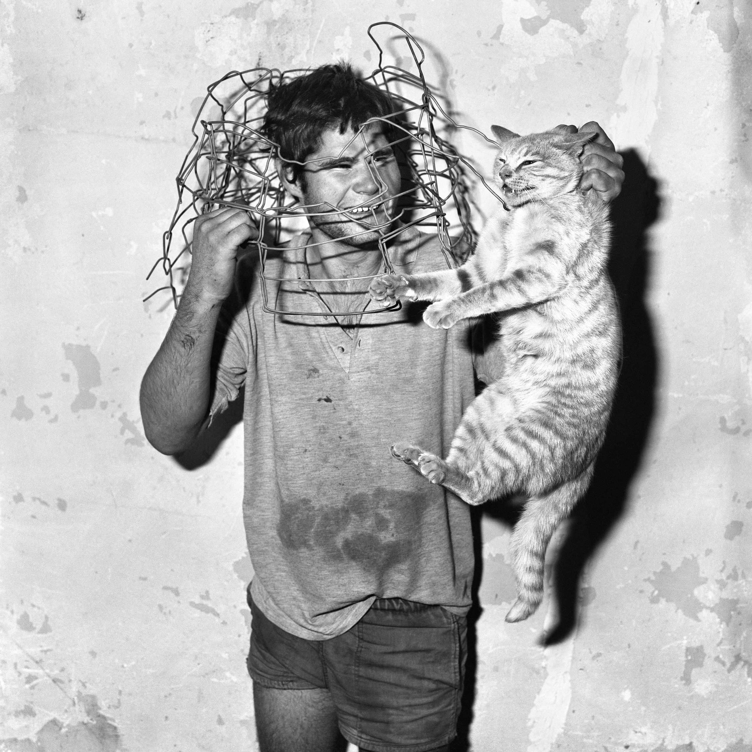 Devir-Animal