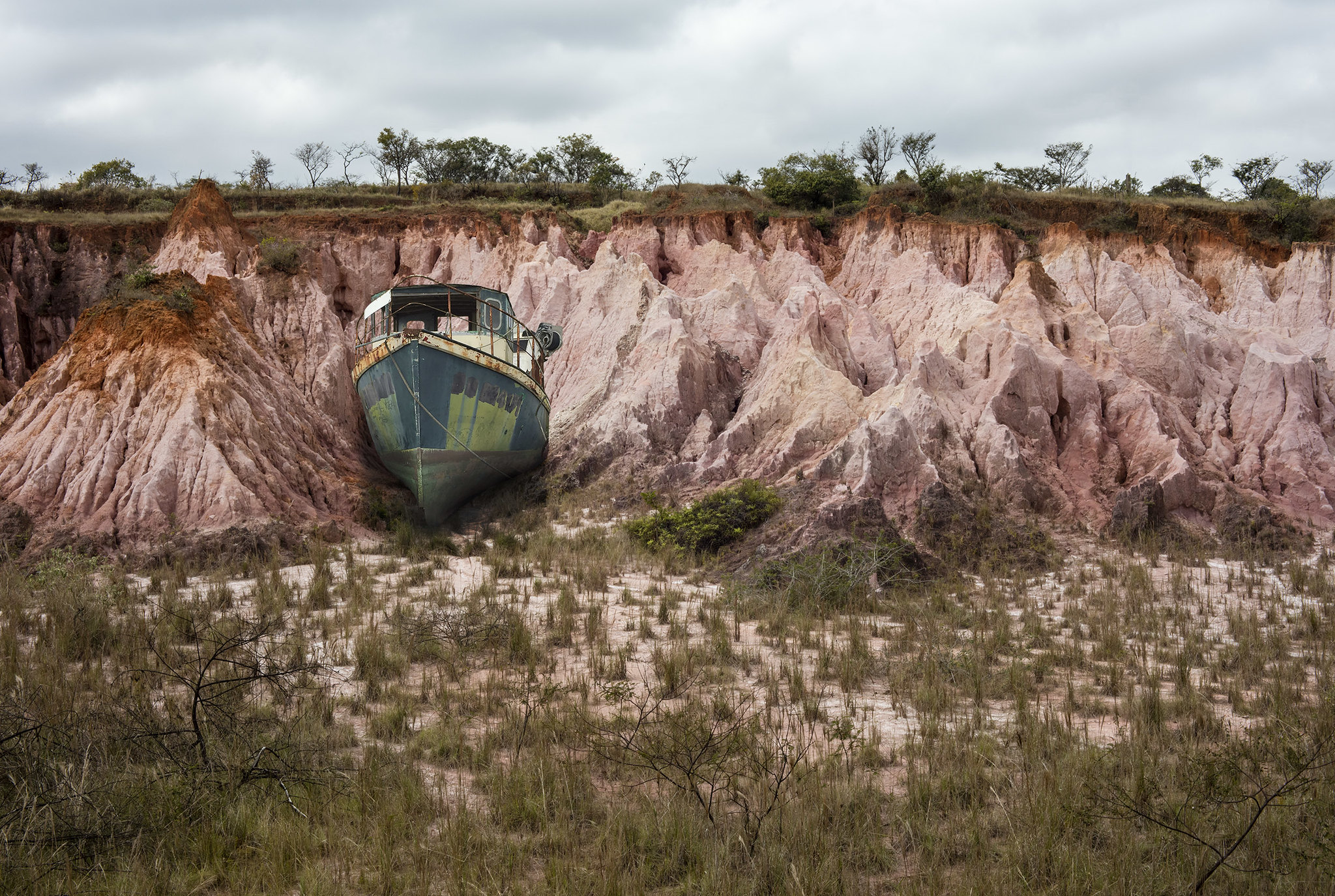 Ambiental: arte e movimentos