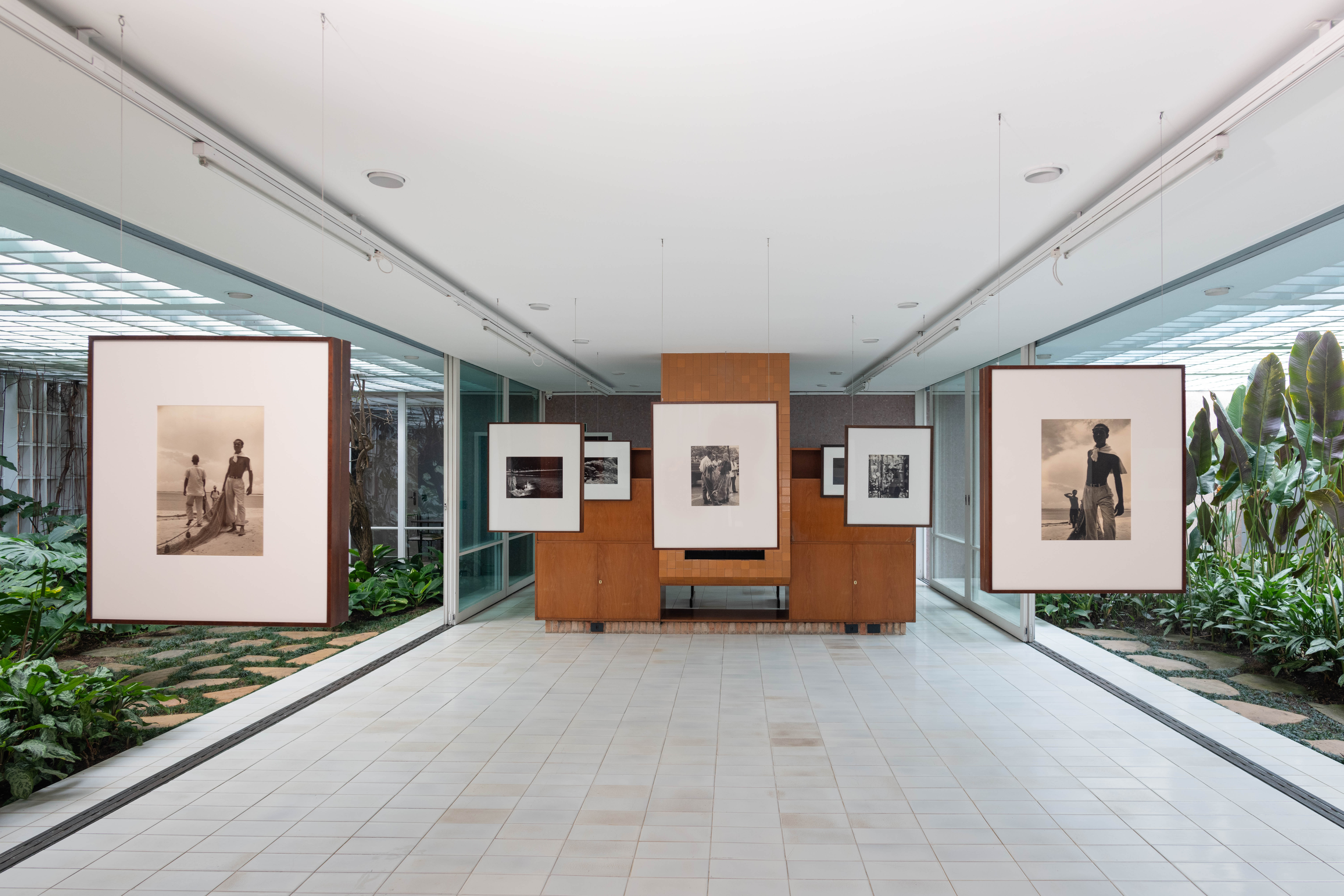 Pictóricos, Coloridos e Modernos