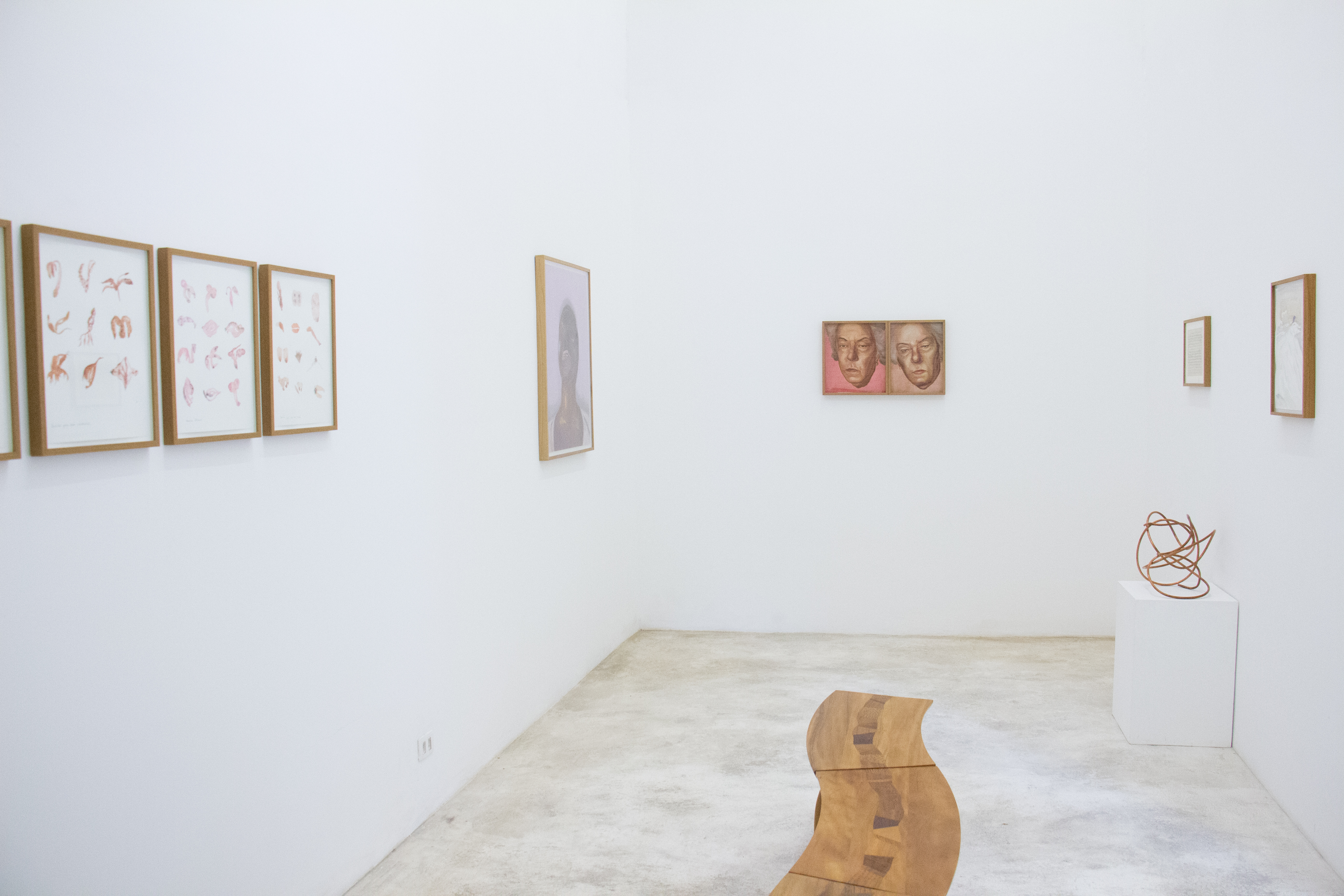 Exposição de Acervo