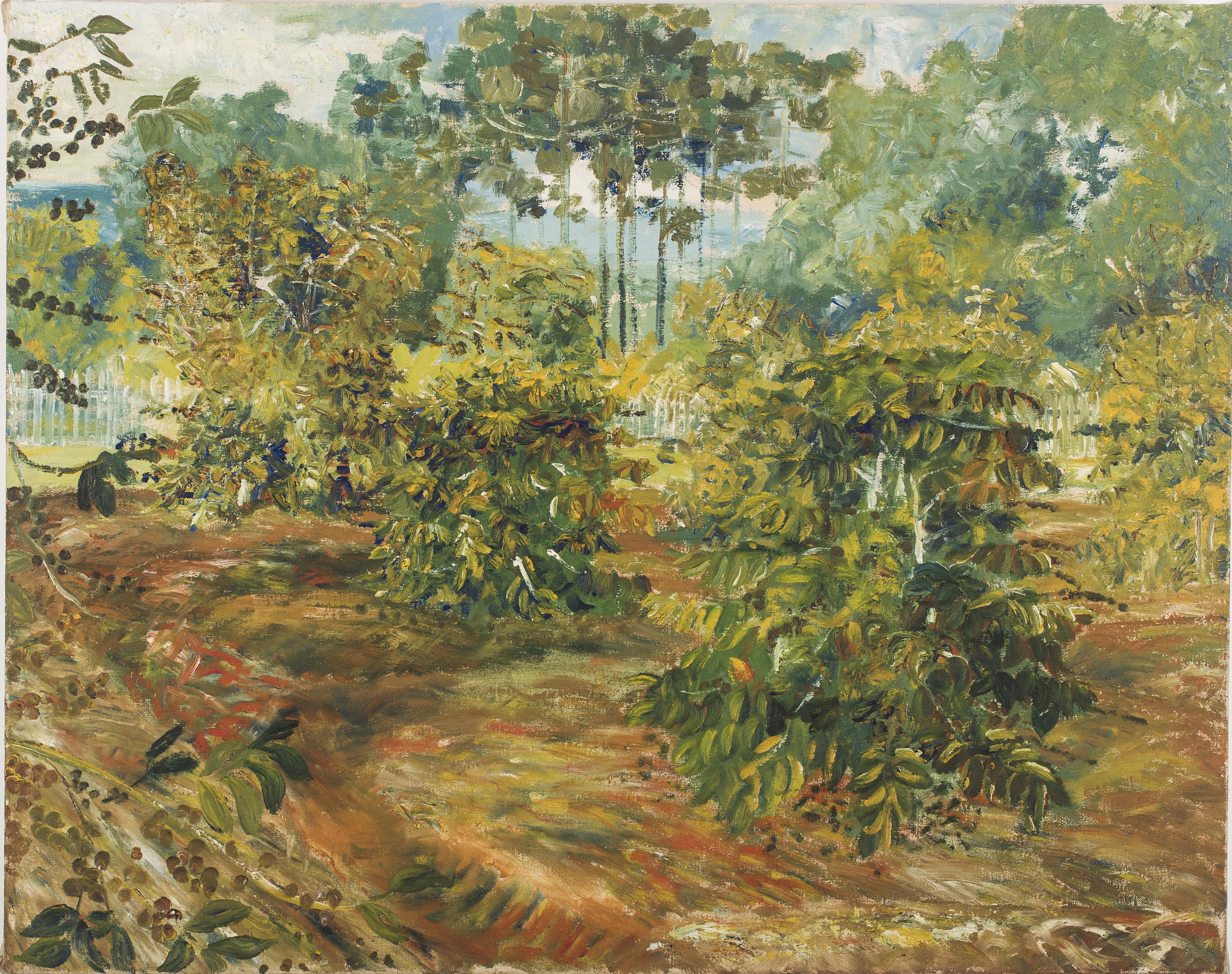Miguel Bakun