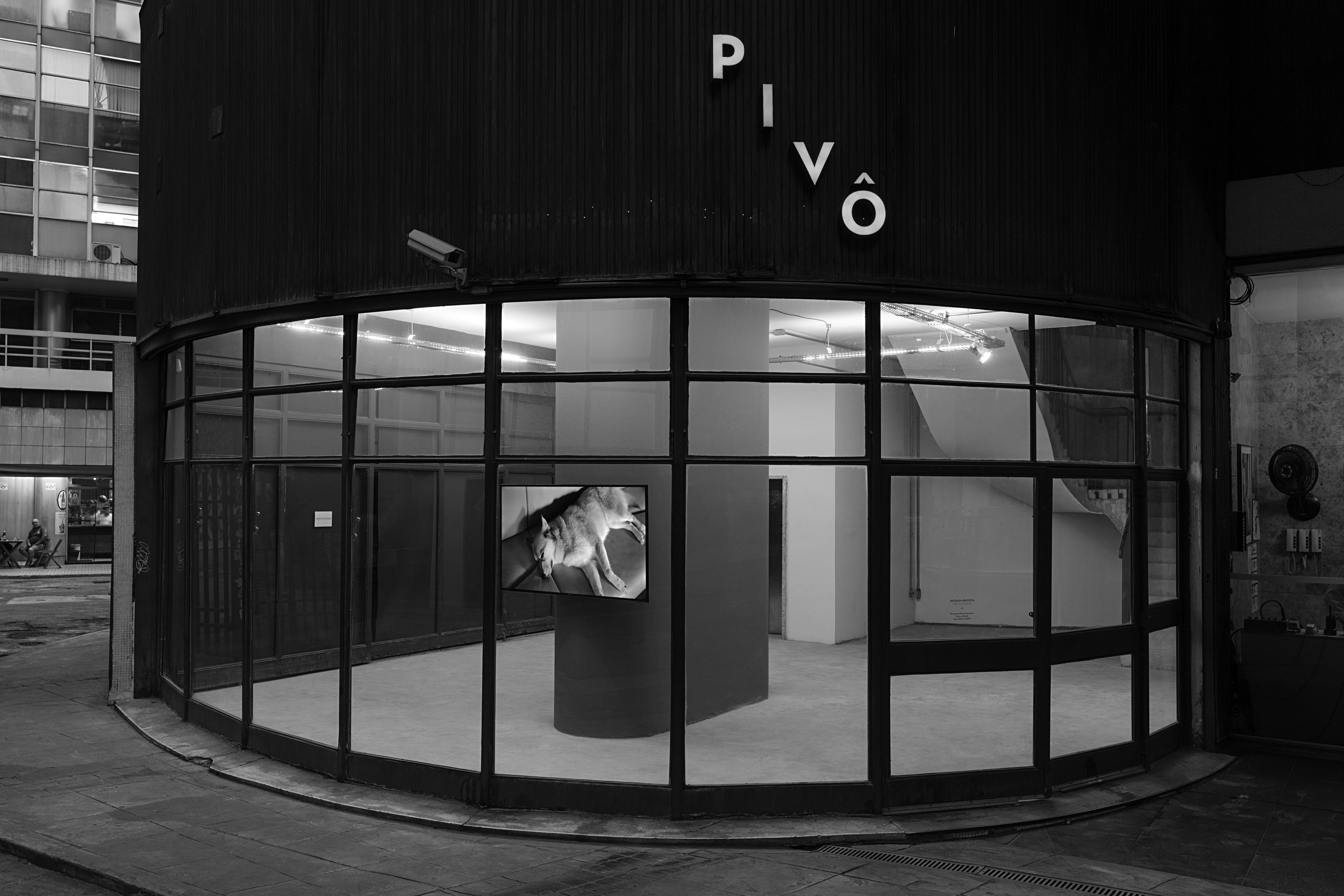 Everton Ballardin