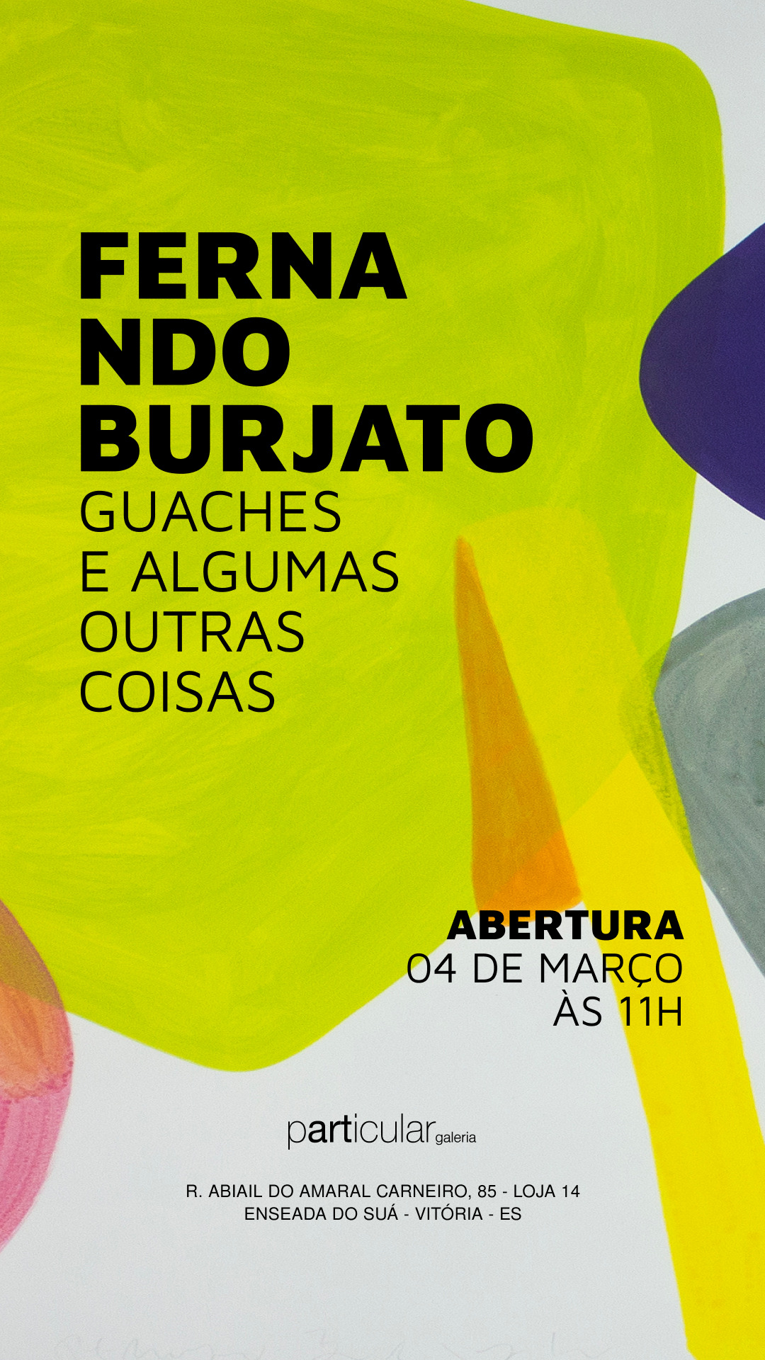 GUACHES E ALGUMAS OUTRAS COISAS
