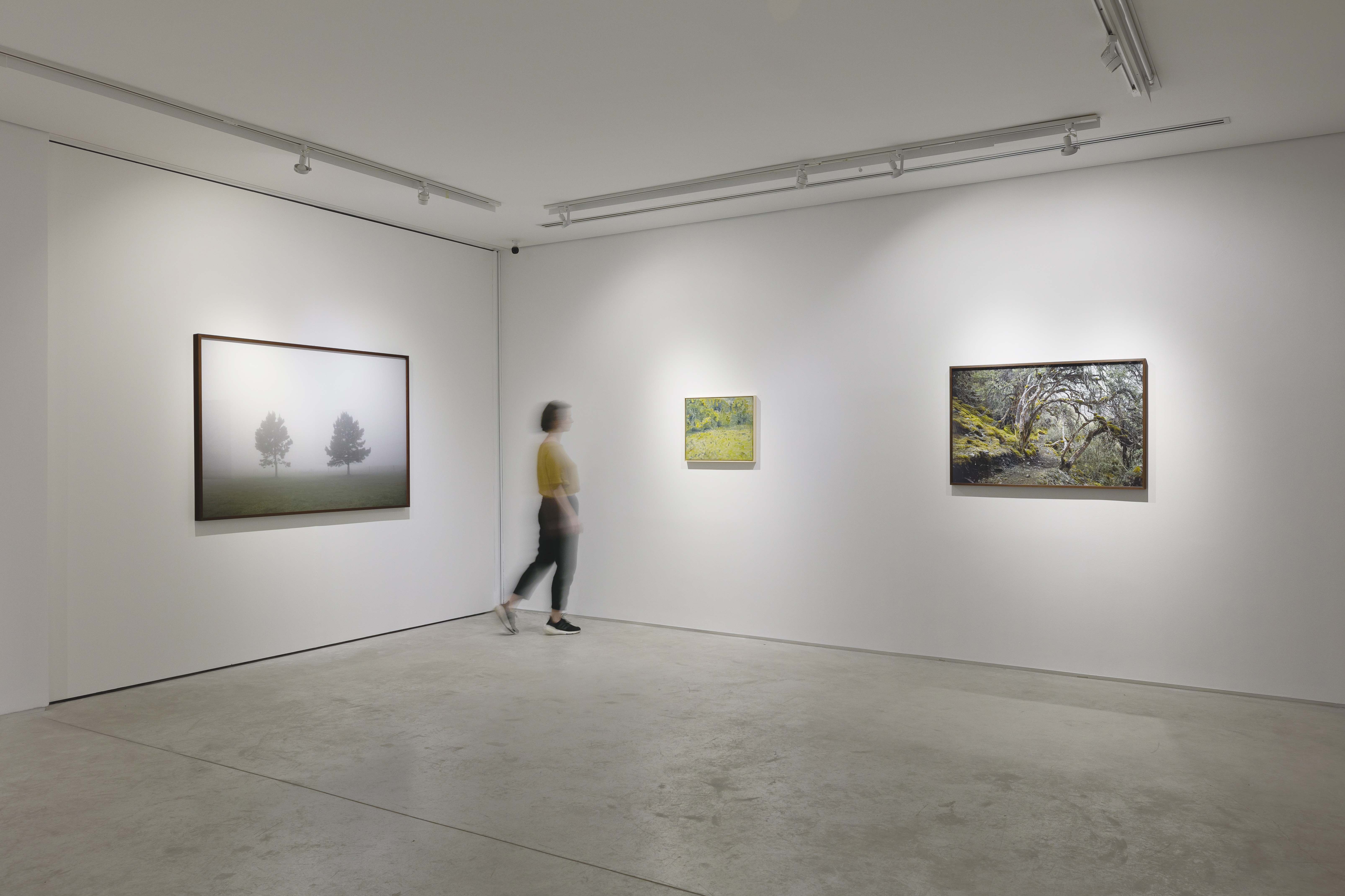 Paisagens Interiores
