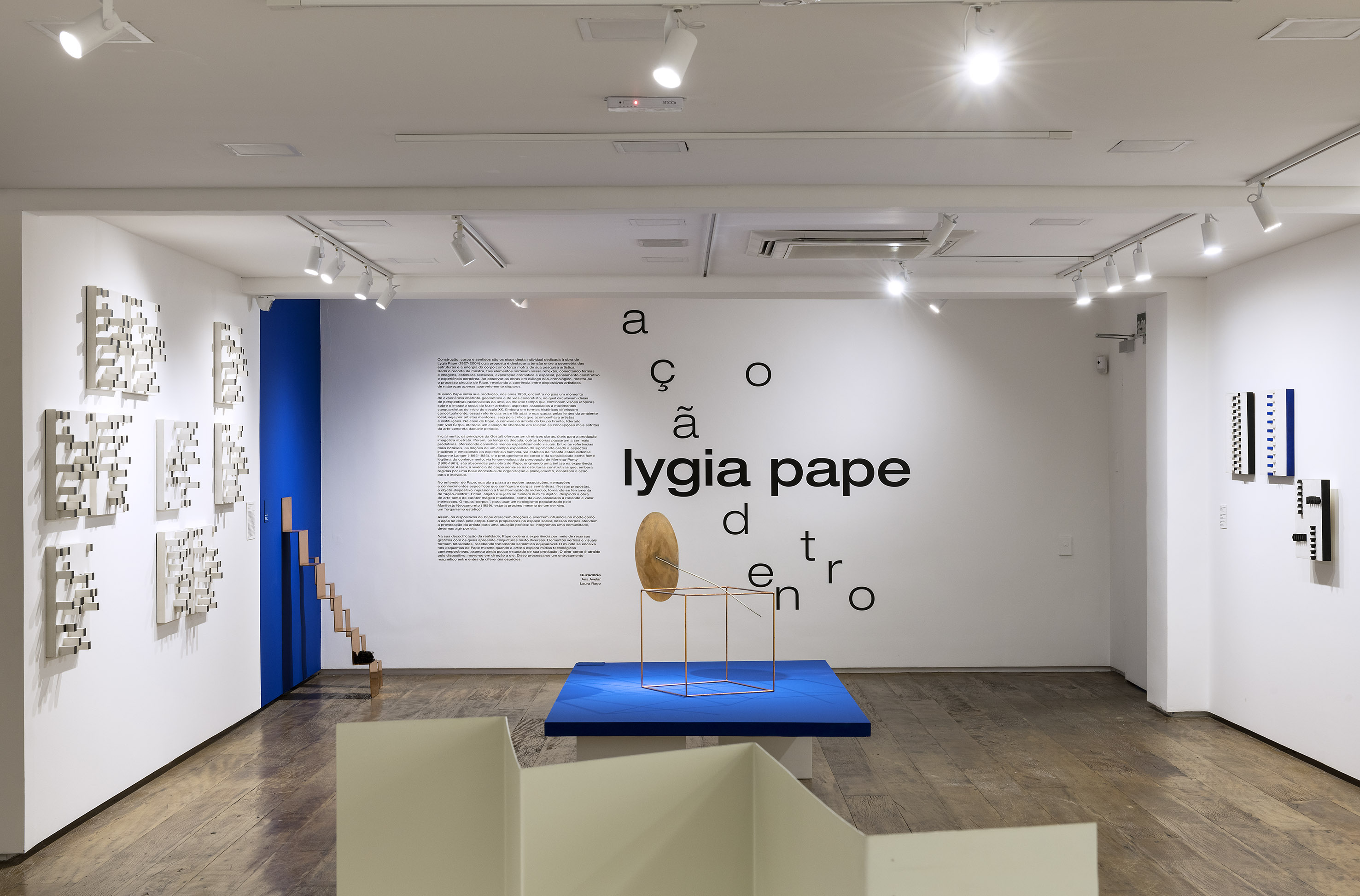 Lygia Pape: ação-dentro