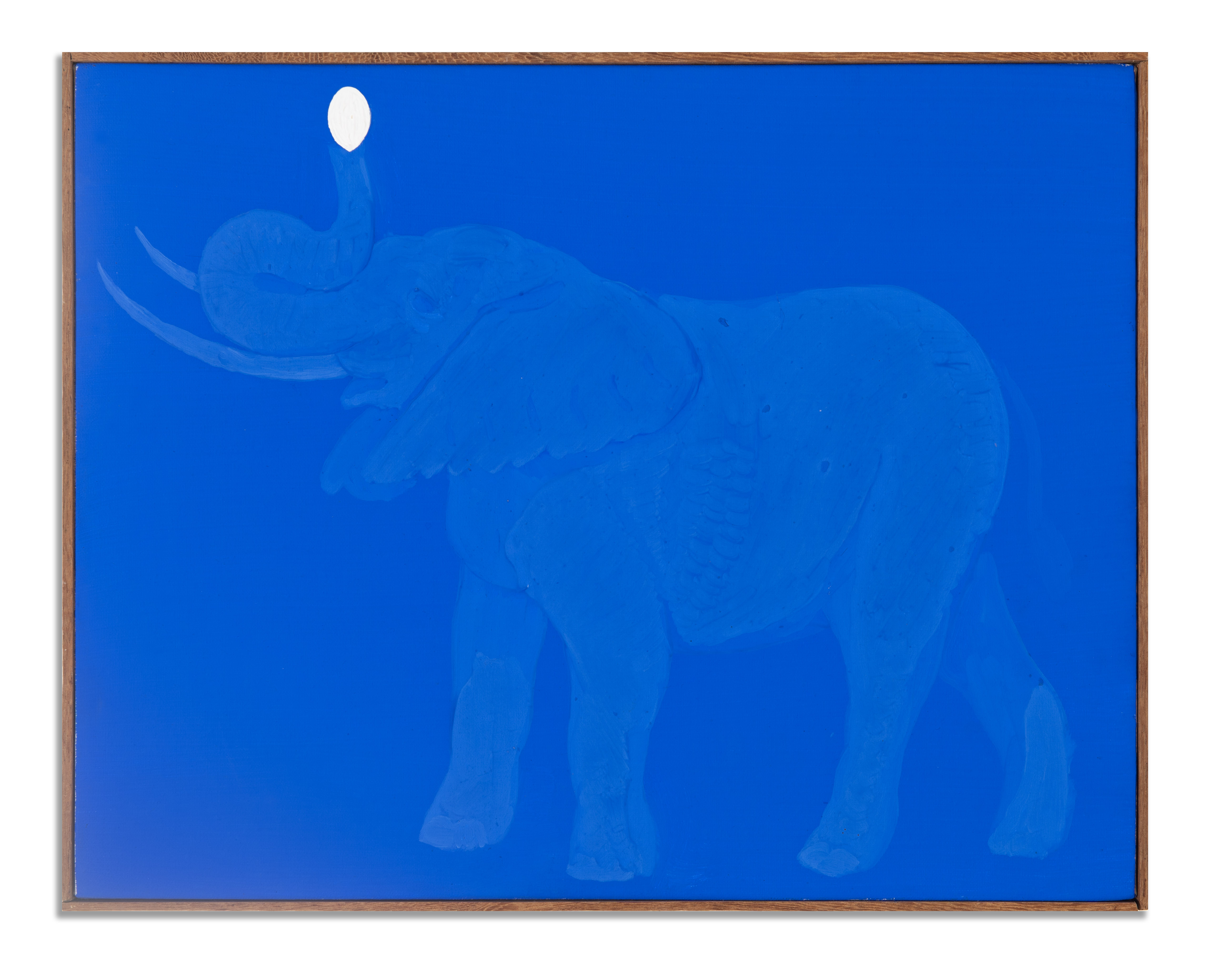 O Elefante e a Safira