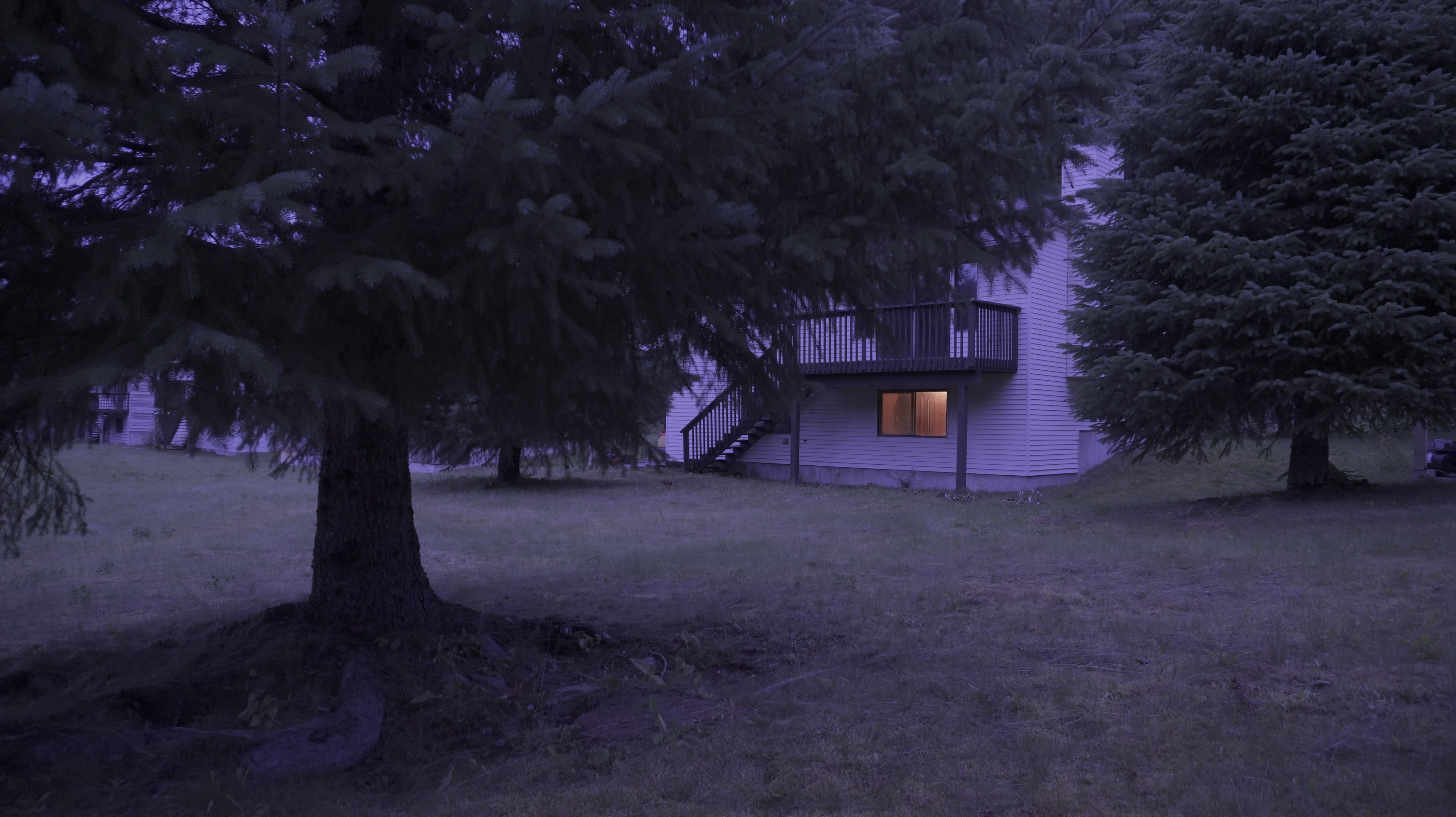 The Caretaker